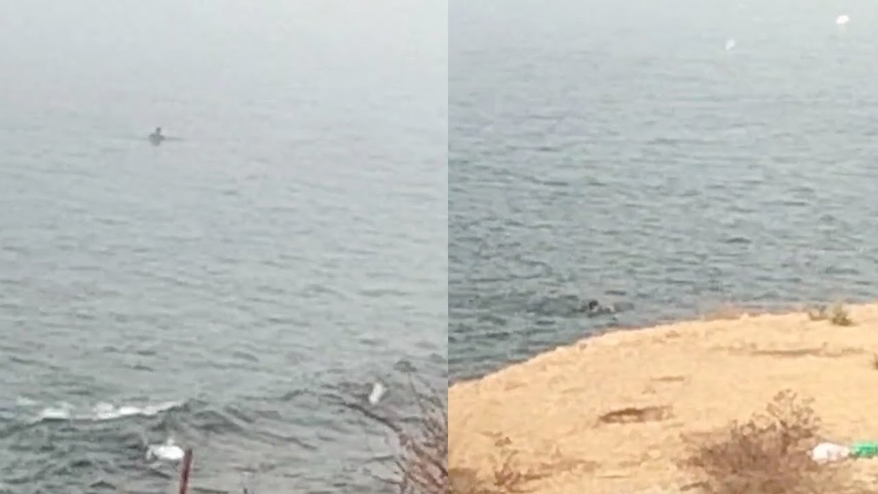 Así han llegado 6 jóvenes a nado a Ceuta: sin ser vistos