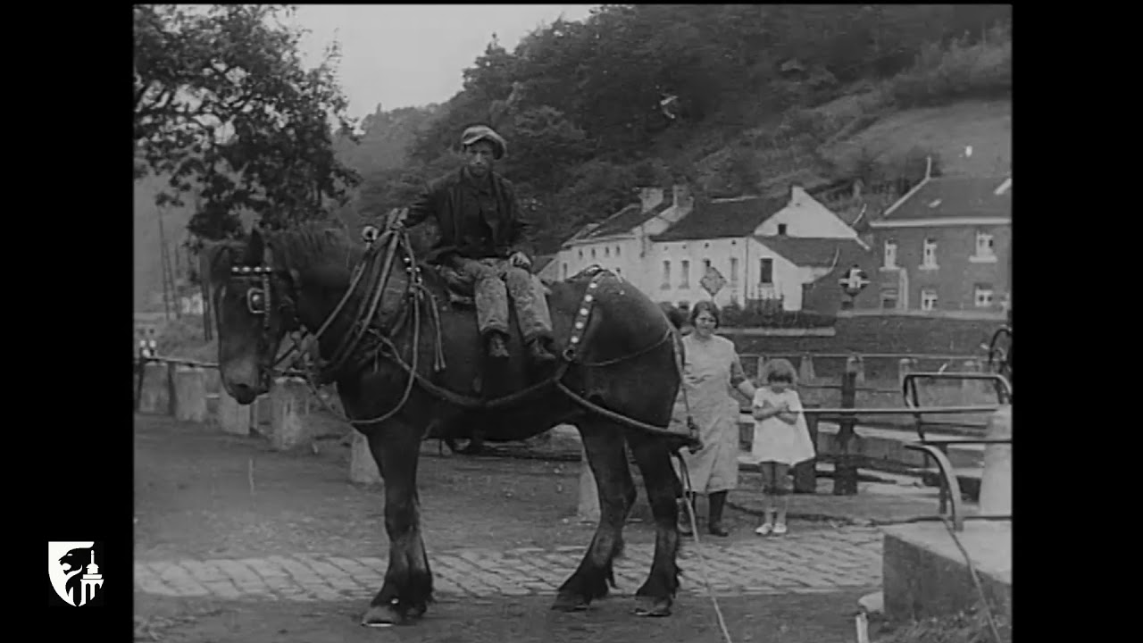 Le cheval de halage à Tilff et Streupas (1933) - Enquête du Musée de la Vie wallonne
