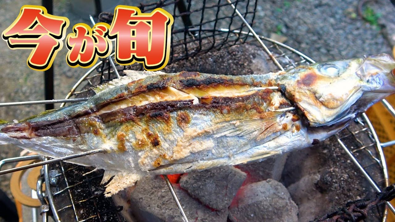 【旬のマルアジ】七輪を使って塩焼きとアクアパッツァを作ったよ！