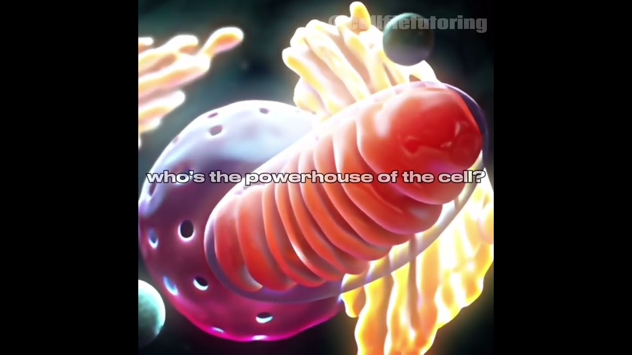 Click link in bio for more ap biology 