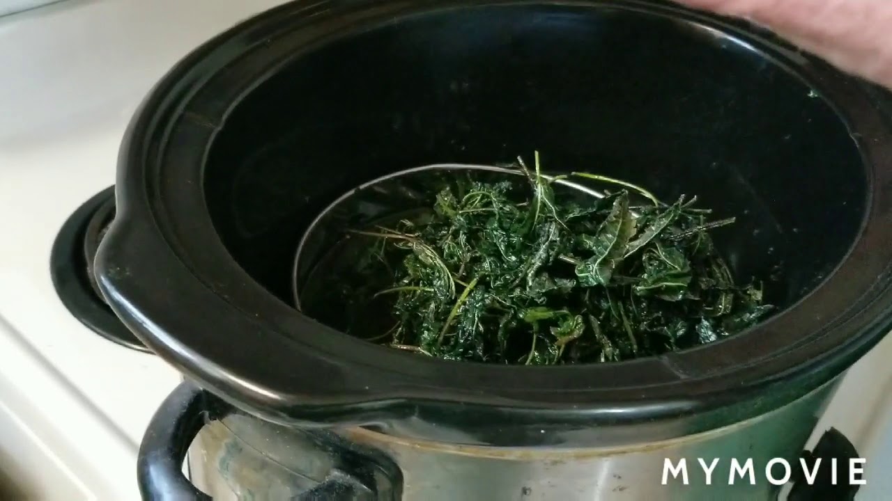 How to make cannabis Oil pt 2