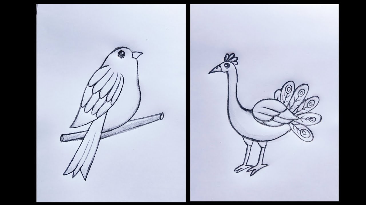 beautiful difference art tips Hacks with pencil that extremely well || idea art beginner 