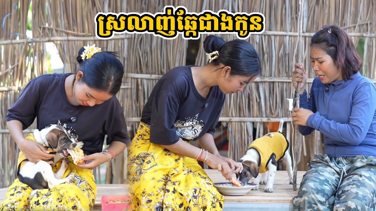 រឿង ស្រលាញ់ឆ្កែជាងកូន
