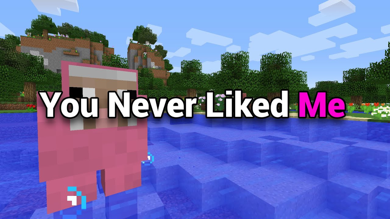 You Never Liked Me
