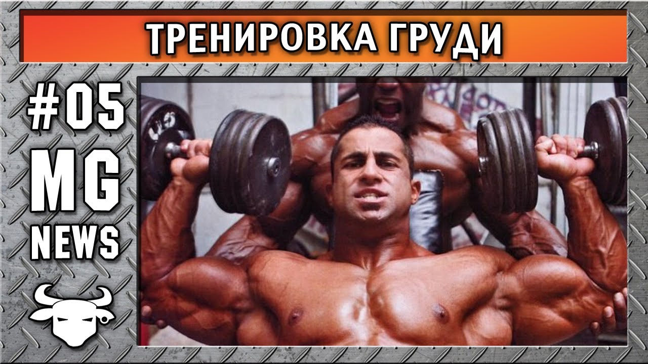 #5 MG News - Программа тренировки груди