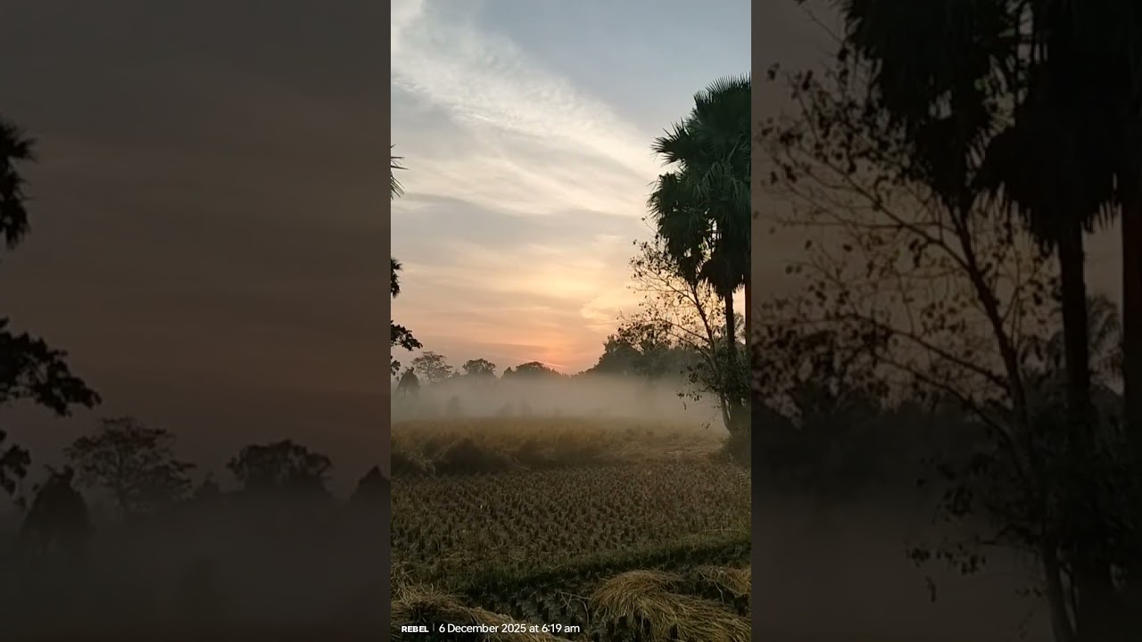 #villageview