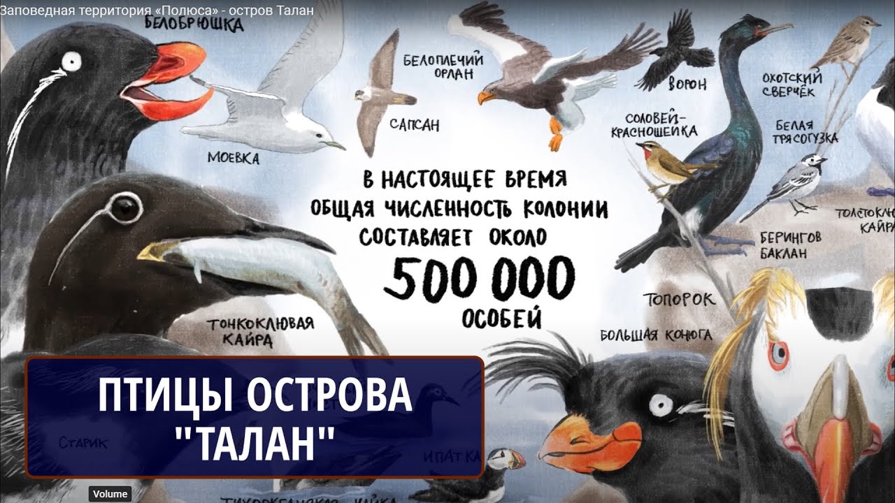 Заповедная территория «Полюса» - остров Талан