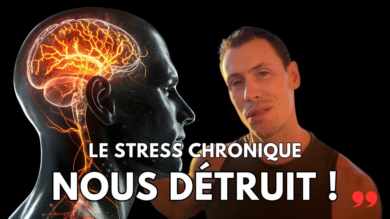 Comment le système nerveux impacte notre santé ? Stress, motivation, mouvement, sens de la vie...