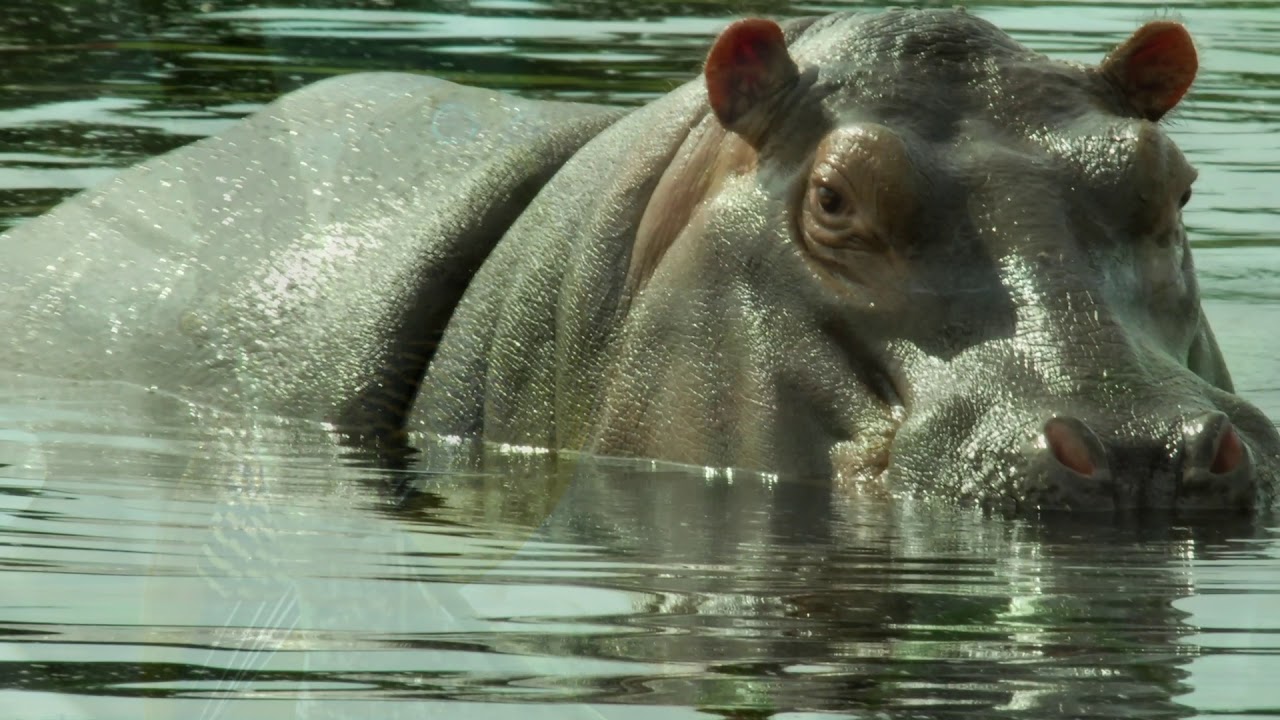 IUCN World Heritage Outlook 3 &ndash; November 2020