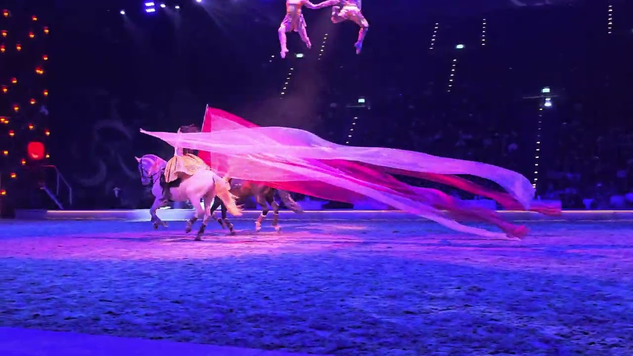 Freihändiges Reiten bei #Cavalluna 2025 Grand Moments #horse #pferde