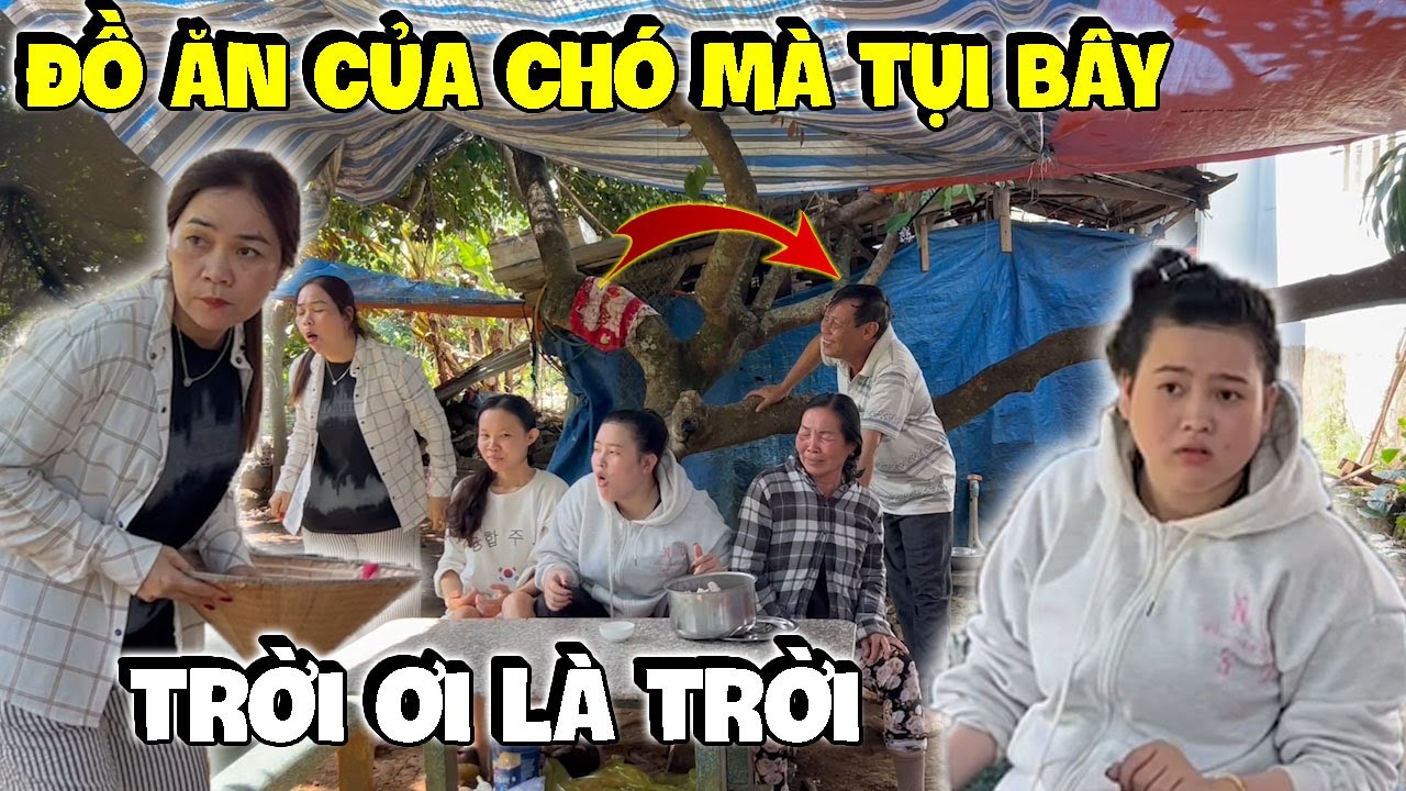 Đồ Ăn Của Chó Mà Tụi Bây Cũng Không Tha | Hải Ka Vlogs
