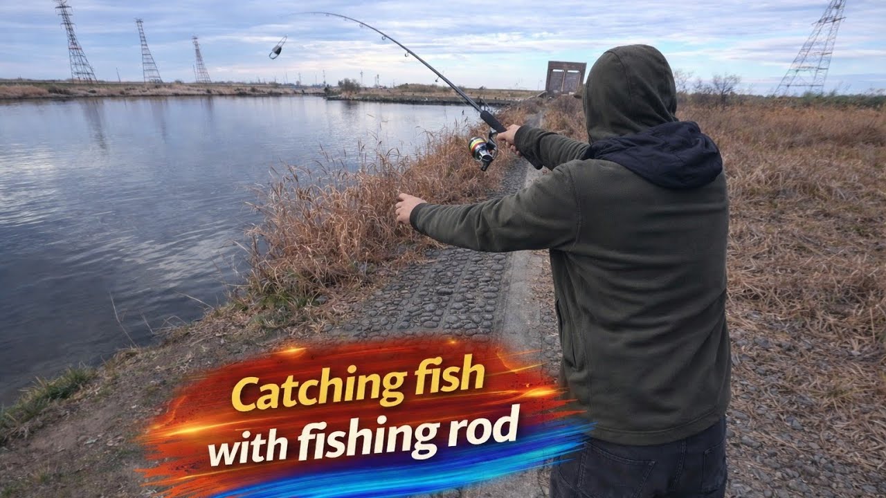 Catching fish with fishing rod