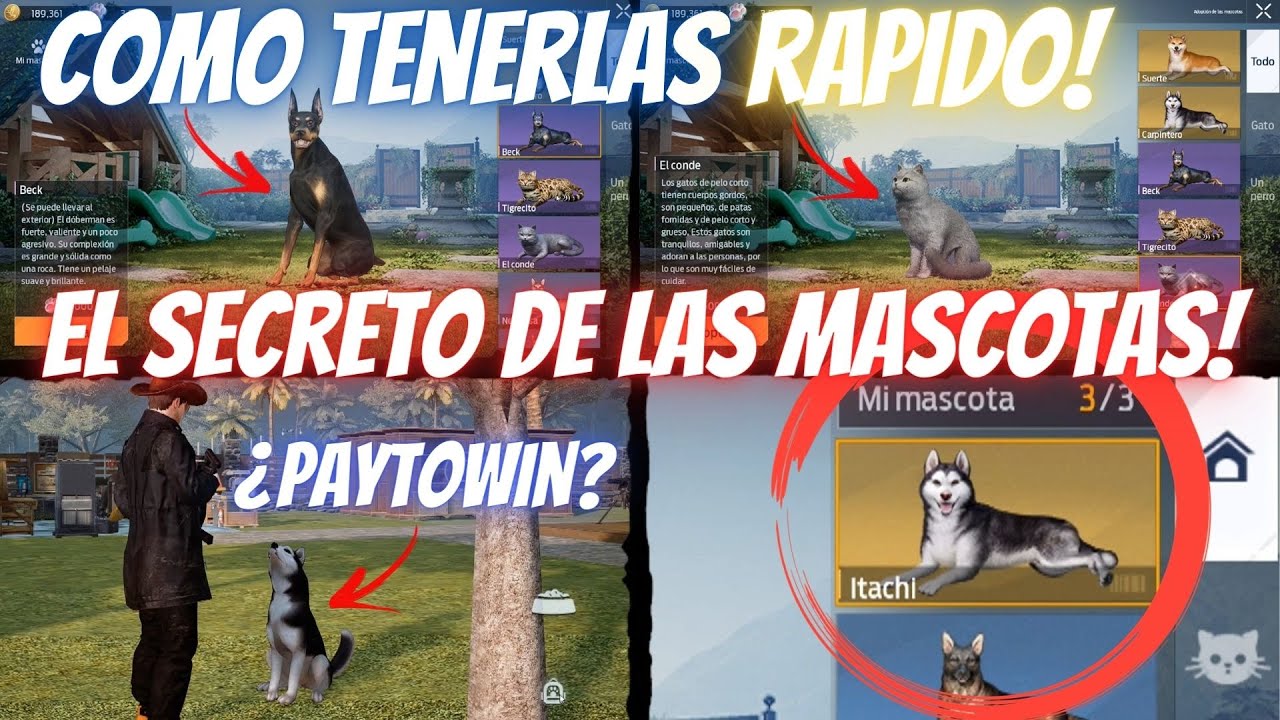 EL SECRETO de las MASCOTAS! Y Tener LAS MEJORES RAPIDO! | UNDAWN en ESPAÑOL | Guia Principiantes