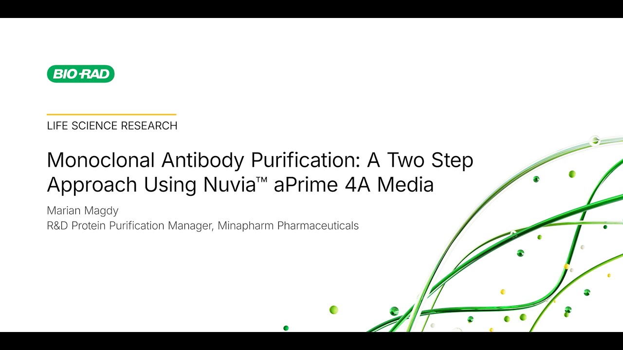 Monoclonal Antibody Purification: A Two-Step Approach Using a Strong AEX-HIC Mixed-Mode Resin