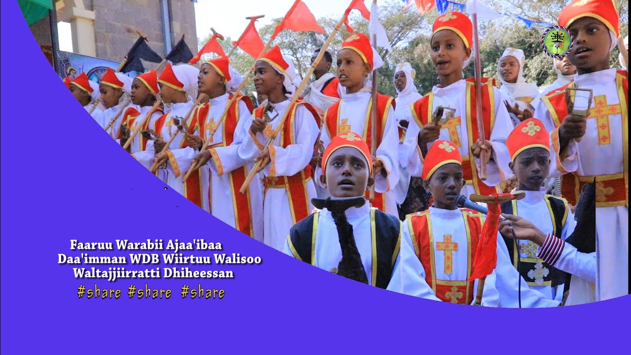 Faaruu Warabii Afaan Oromoo Daa'imman WDB Wiirtuu Walisoo Haala Ajaa'baan Waltajjiirratti Dhiheessan