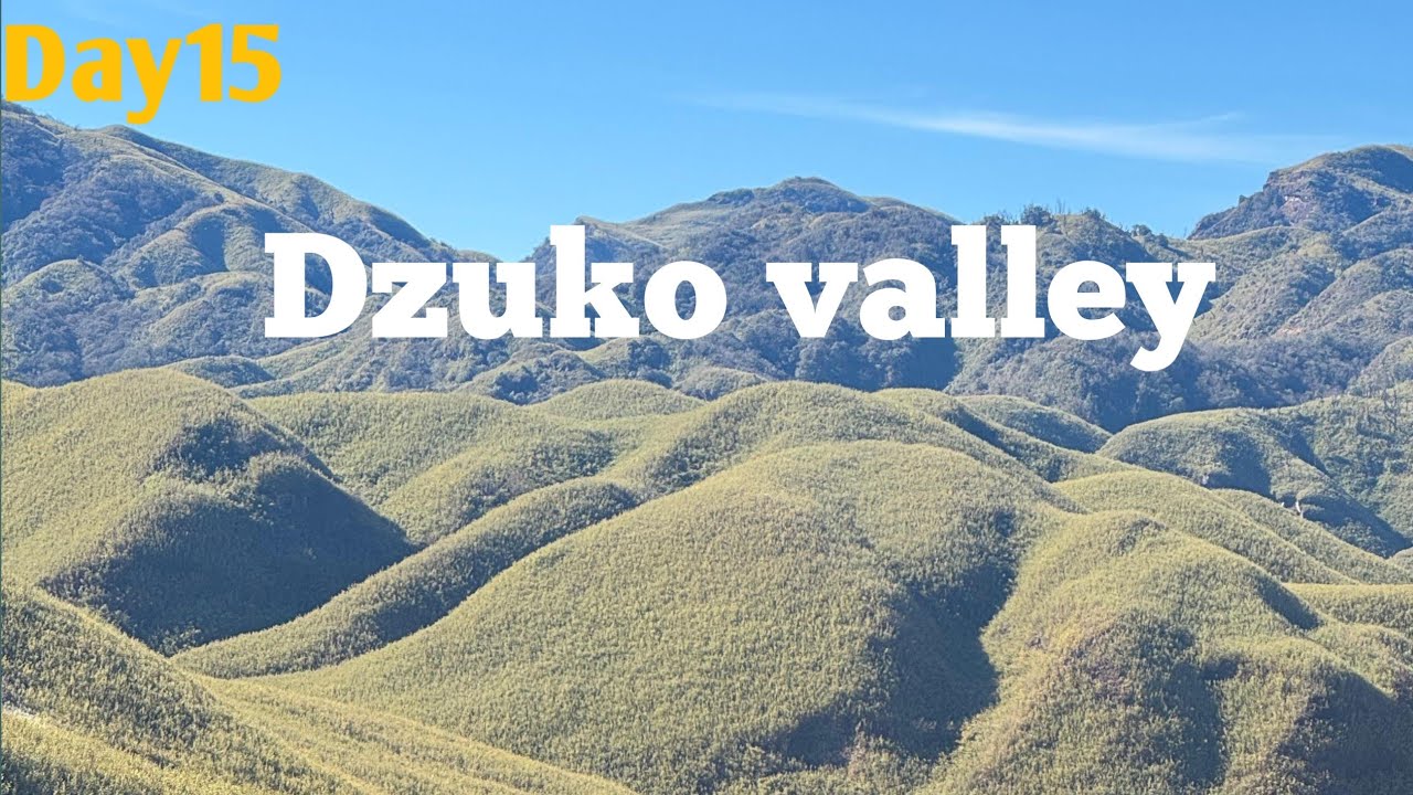 Day15 || DZUKO VALLEY || Back to Hornbill festival || Nagaland || #100daysofdeshdarshan