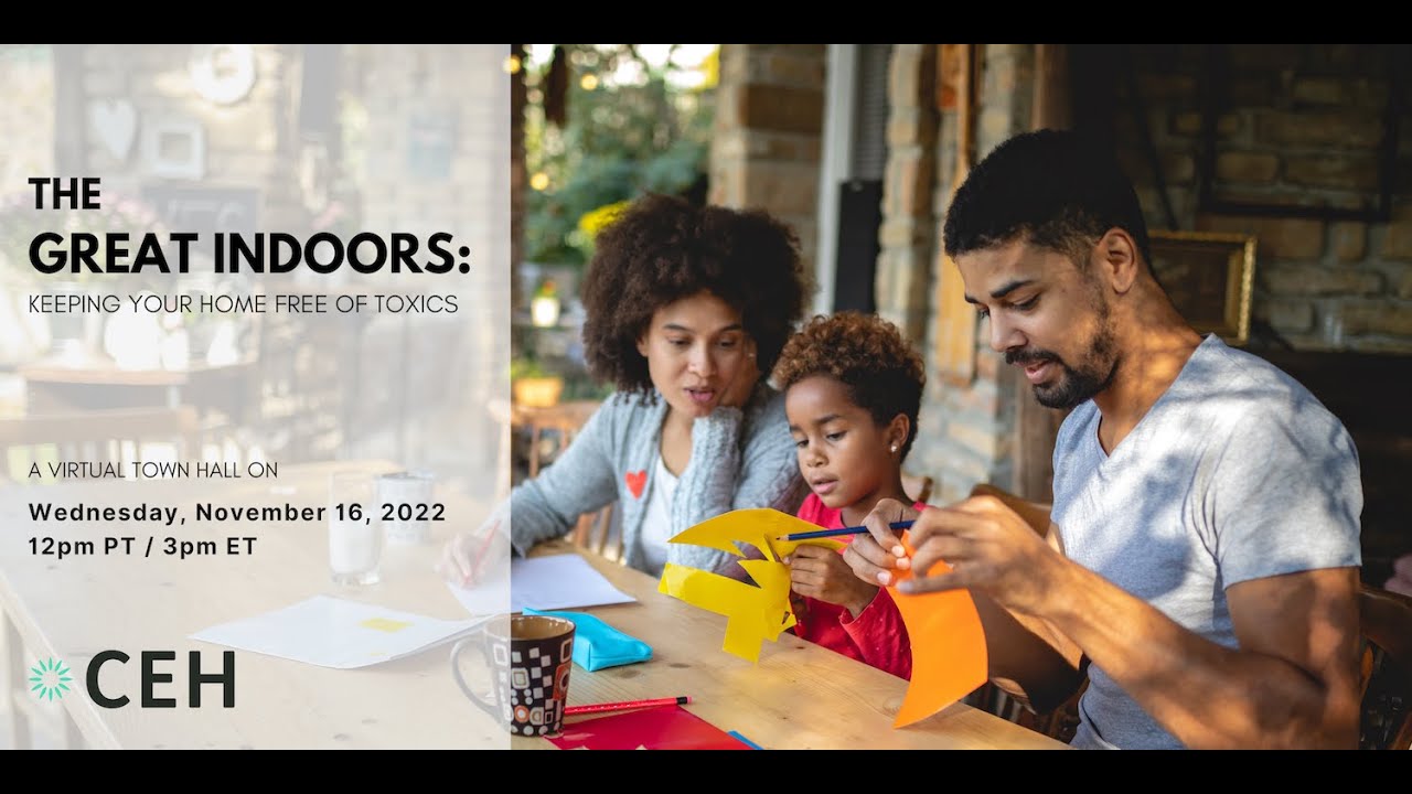 The Great Indoors: Keeping Your Home Free Of Toxics