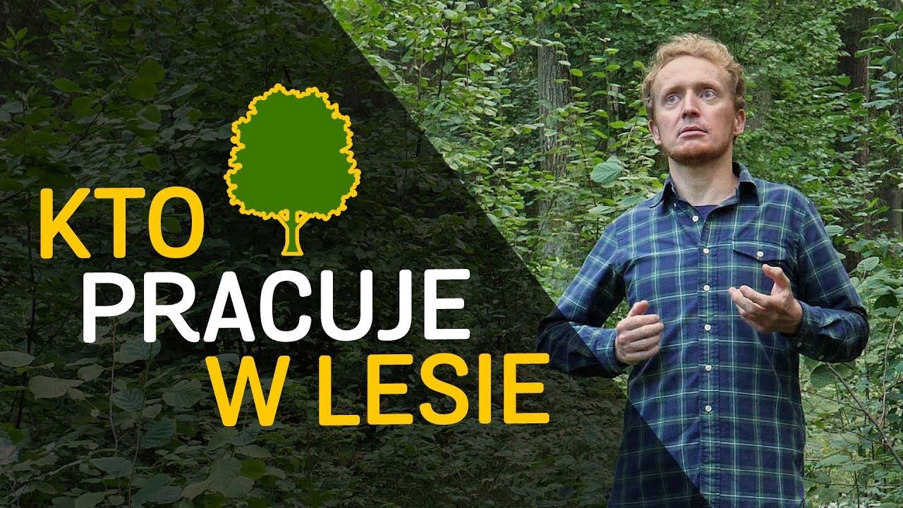 Kto pracuje w polskich lasach - o Lesie #29