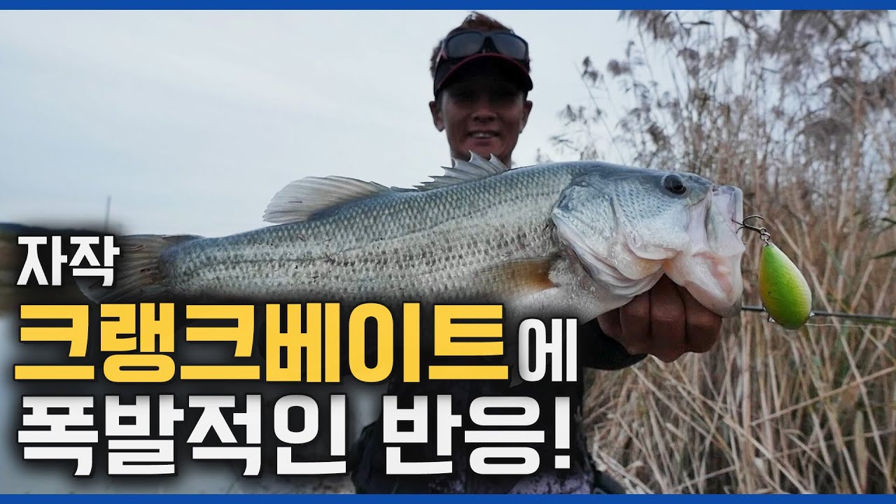 직접 만든 '크랭크 베이트'로 가을 배스 다 낚아버리는 양영곤 [이글아이2/10회]
