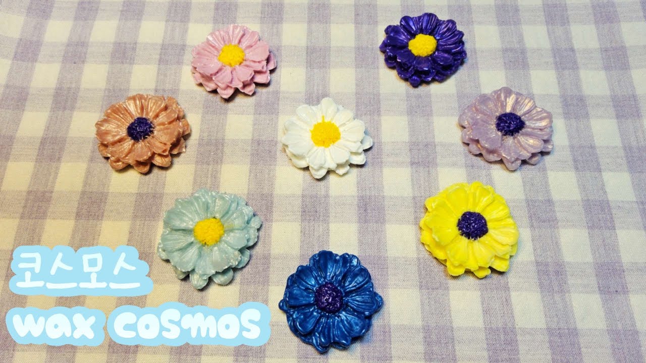 가을바람에 살랑살랑🍂 가을의 꽃 코스모스🌼