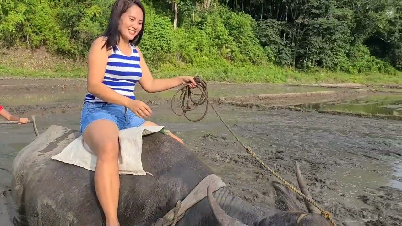 I RODE A BUFFALO AND A HORSE TO CLEAN THE FIELD #philippines @celvlog3120