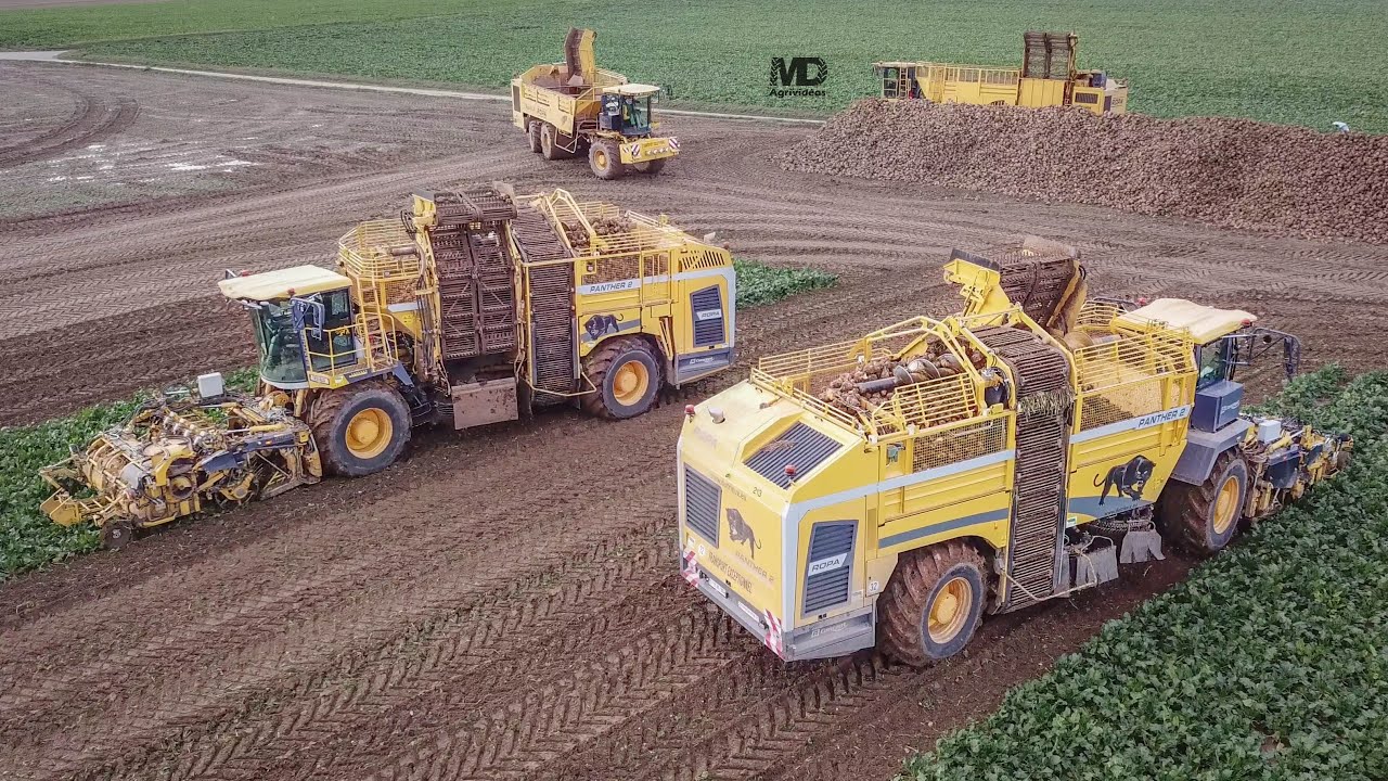 4x ROPA // Betteraves 2020 chez SPRL Tasiaux