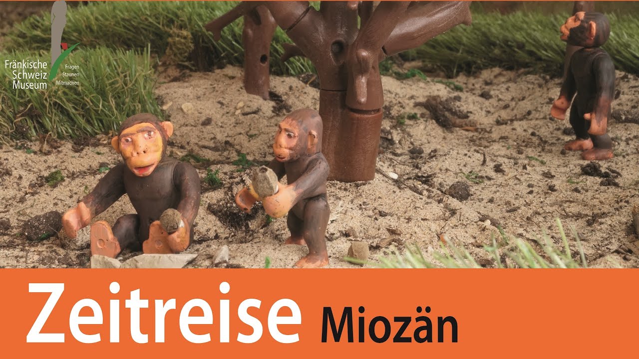 Zeitreise Mioz&auml;n - Von Menschenaffen und S&auml;belzahnkatzen