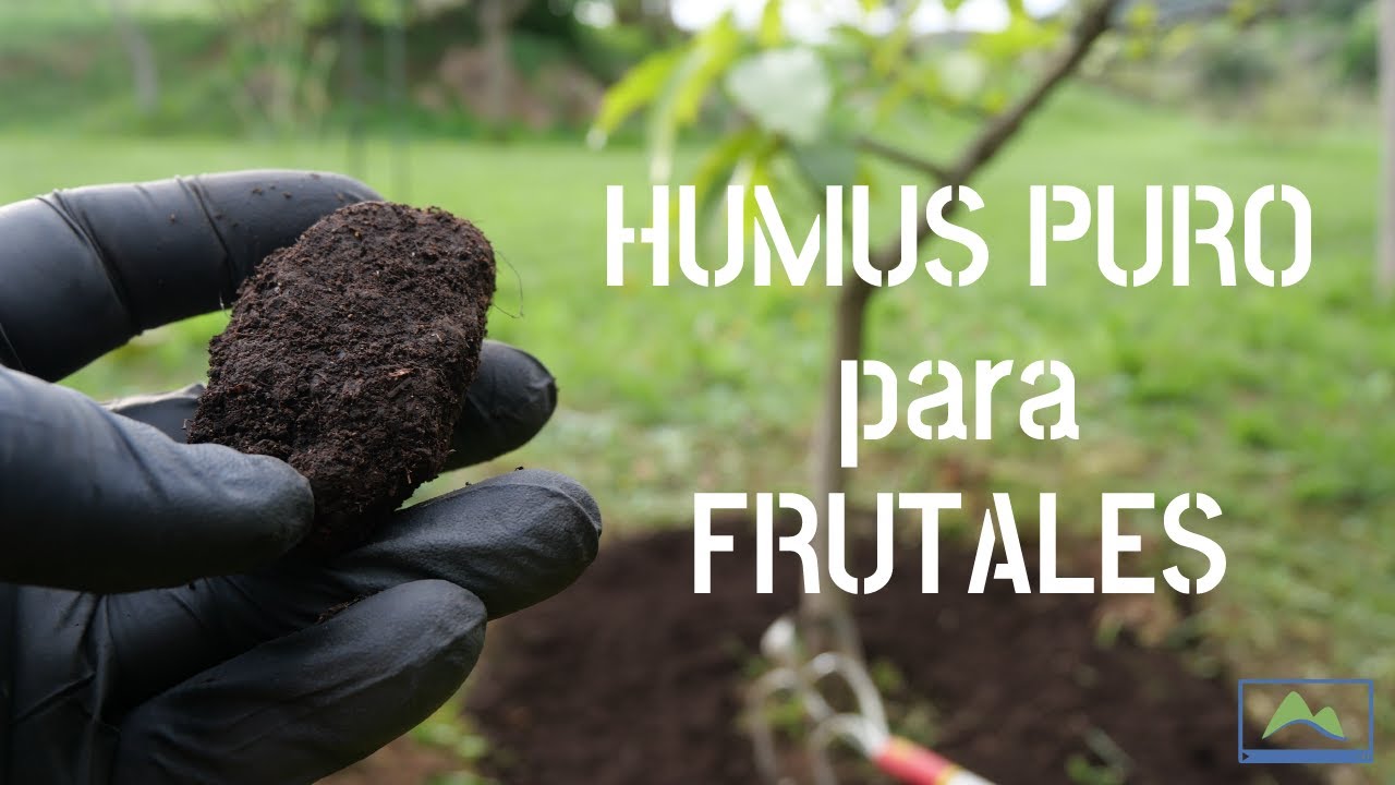 HUMUS PURO de LOMBRIZ: ABONO orgánico de ALTA calidad para FRUTALES 💩 Aplicaciones y DOSIS 🌳 #LdN