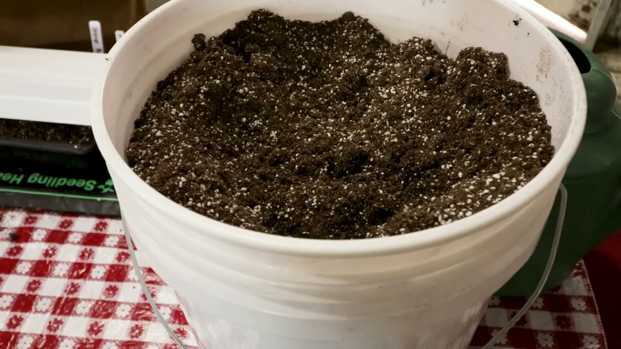 Starting Tomatoes & Peppers