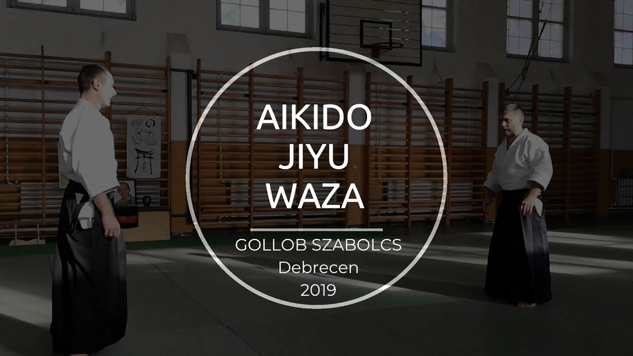 AIKIDO JIYU WAZA - GOLLOB SZABOLCS - TENJINCHI ONLINE-HOMEDOJO