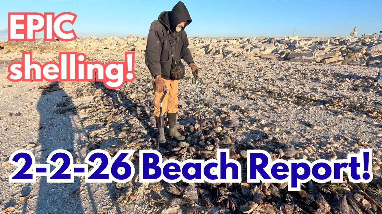 BEACH REPORT Feb 2 2026 UNREAL Epic Shelling Conditions!