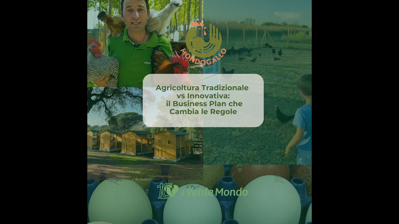 Agricoltura Tradizionale vs Innovativa: il Business Plan che Cambia le Regole