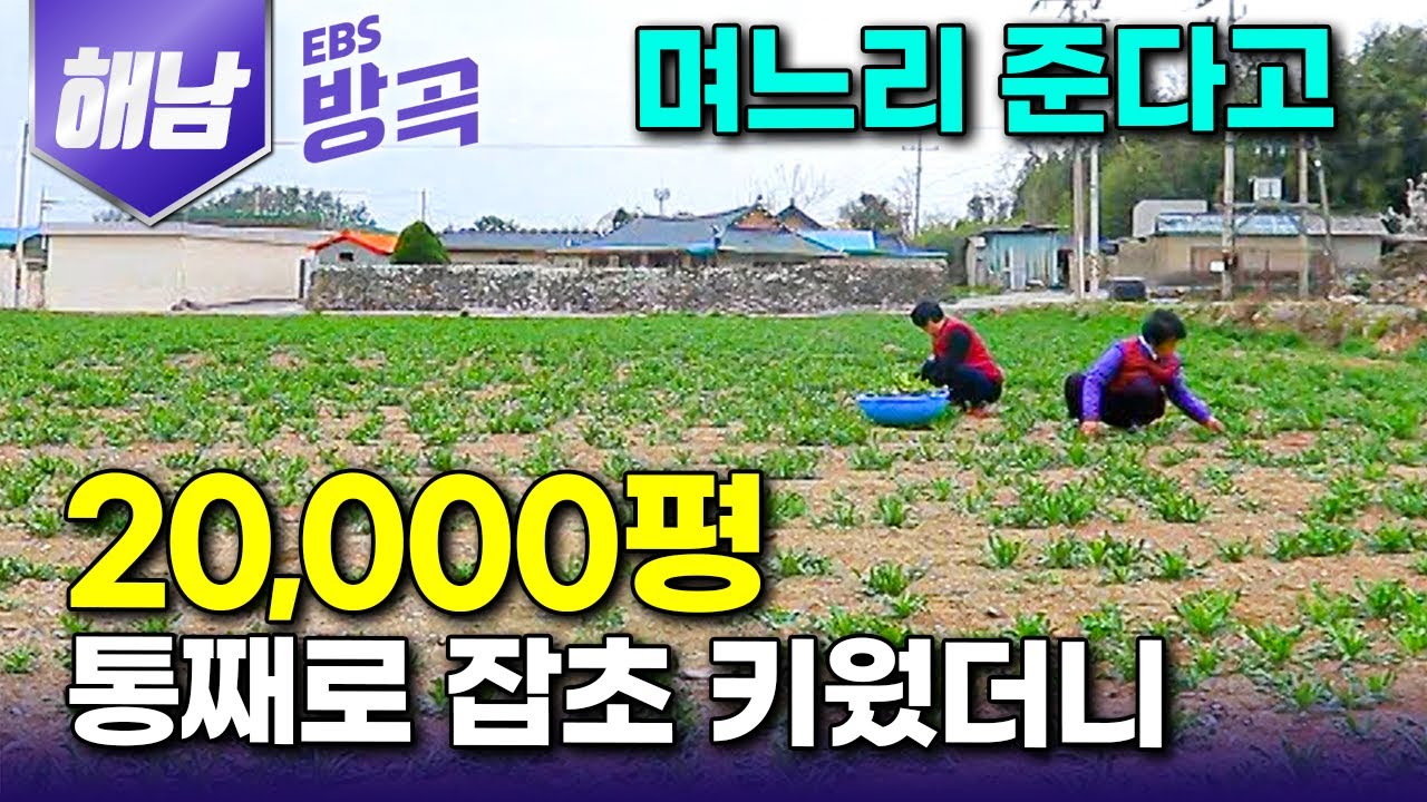 [전남 해남] 