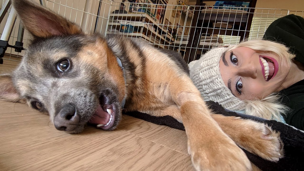 New Puppy, COVID19 Thoughts, and 