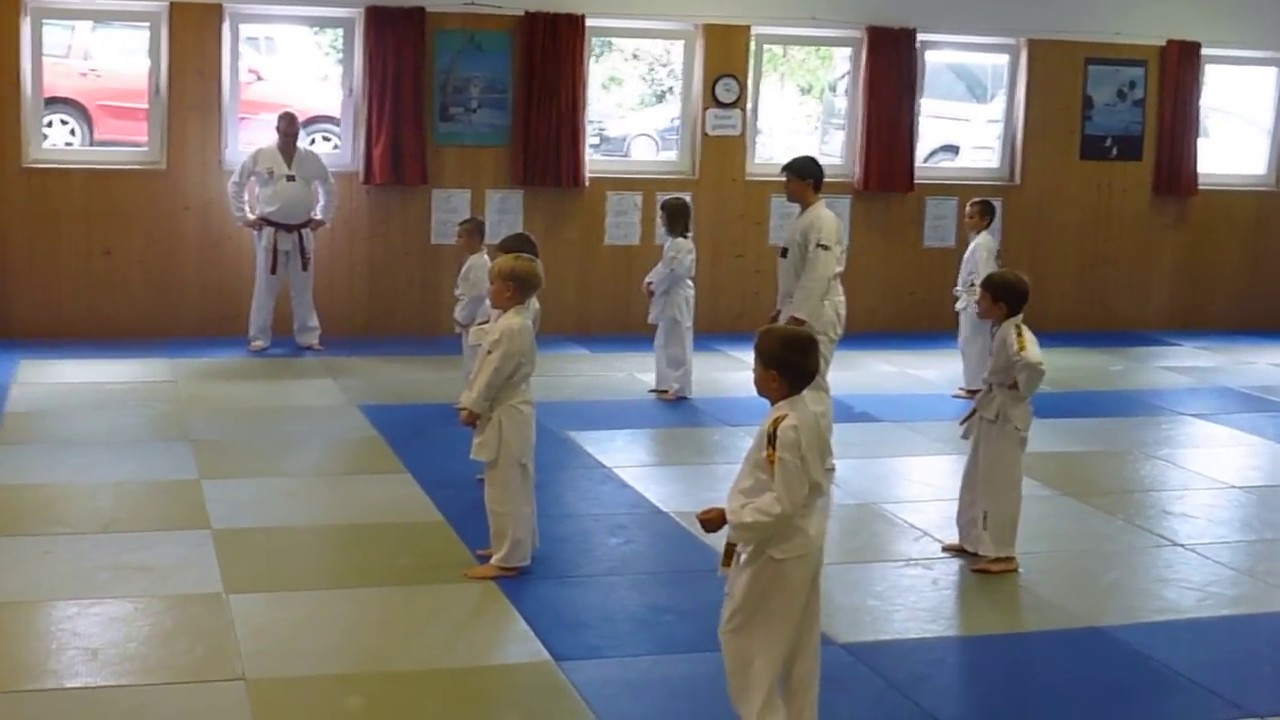Joni's Taekwondo Prüfung zum 9.Kup