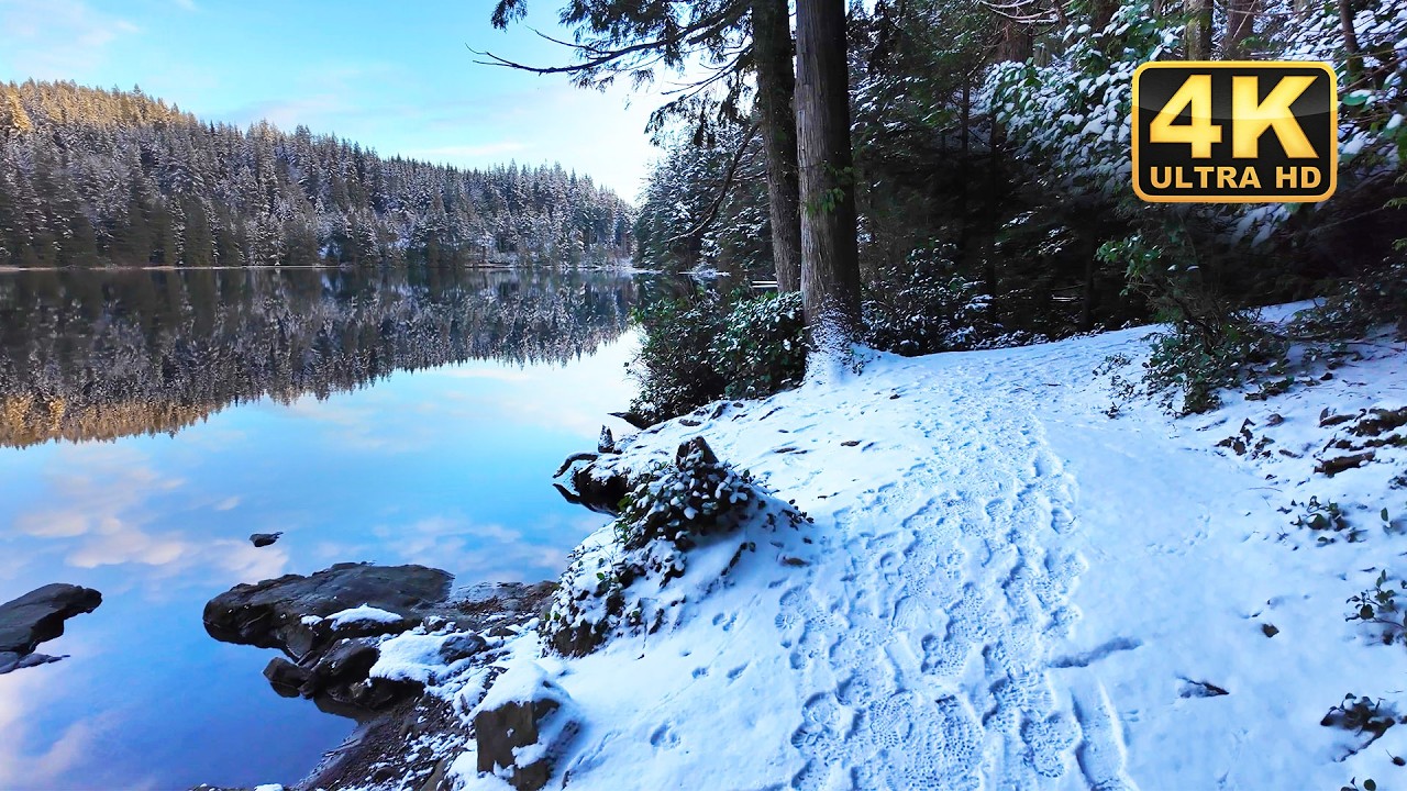 Stunning Canadian Winter SNOW TRAIL ❄️🌲 White Pine British Columbia Canada | Virtual Tour 4K 60FPS