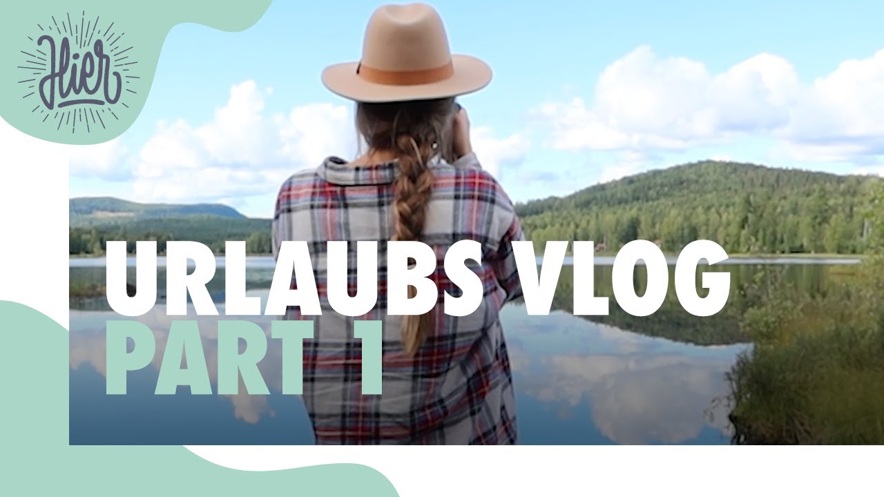 Mit dem Bulli nach Schweden I Part 1 I Vlog I #1