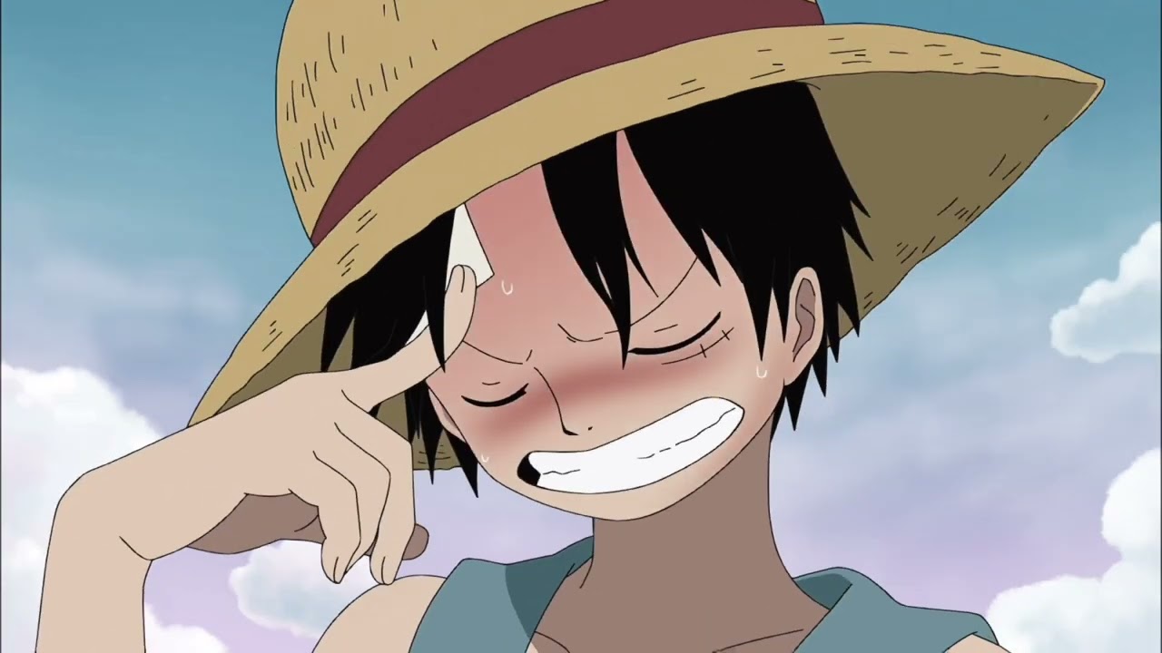 Luffy law girlfriend