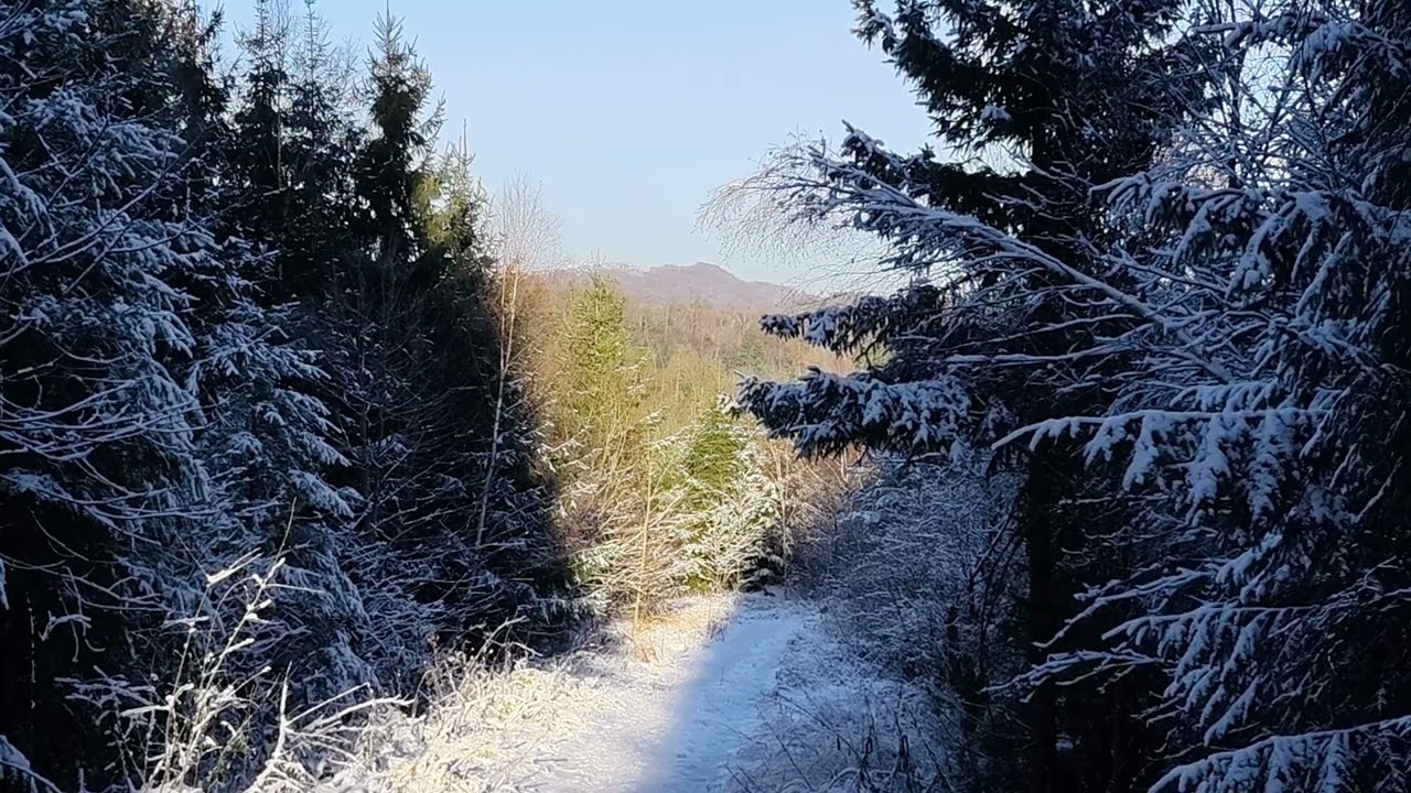 Jetzt, wo Milderung eintreten soll, bietet sich noch eine Runde im Schnee an • Mitte Januar 2026