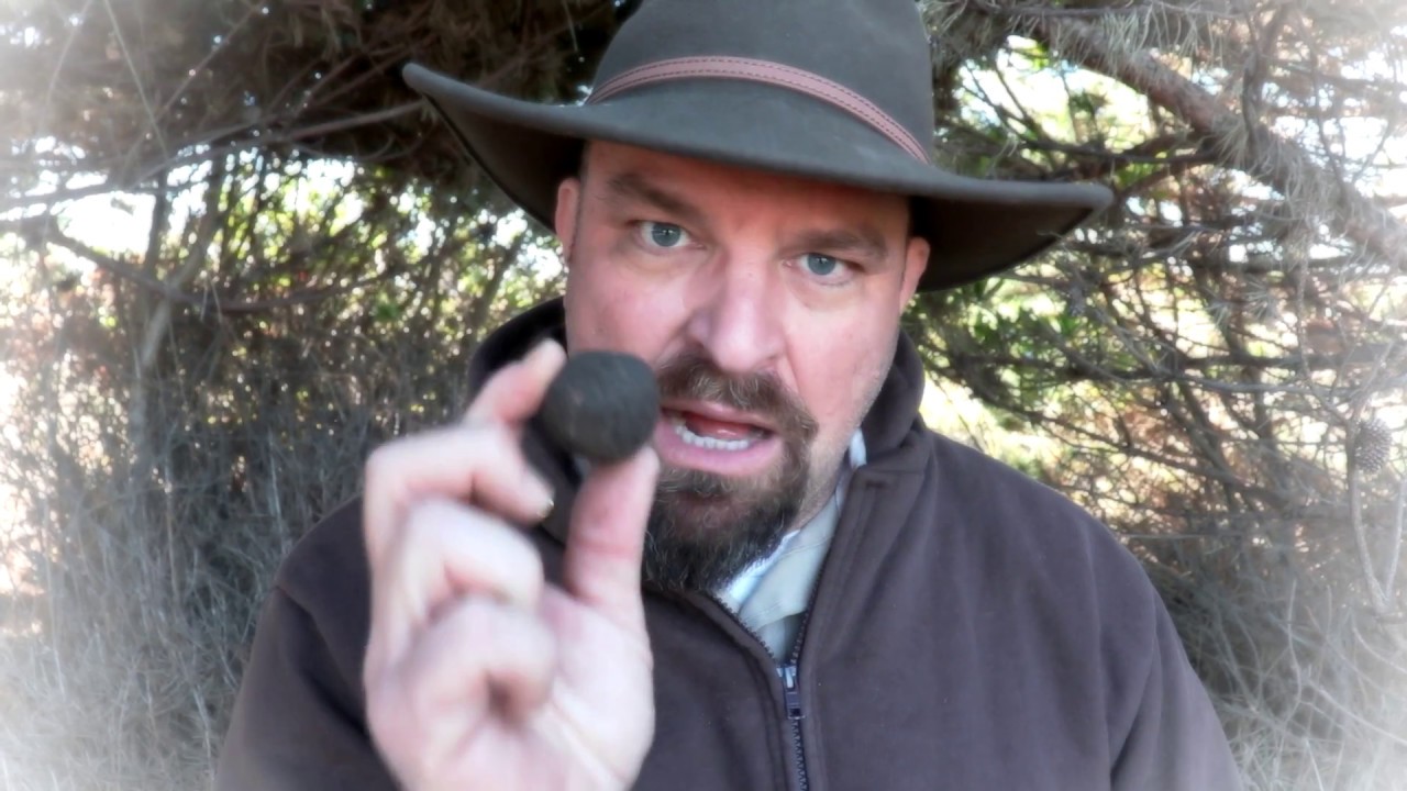 Griff's Wild Tips: How to Make Seed Bombs (Seed Balls)