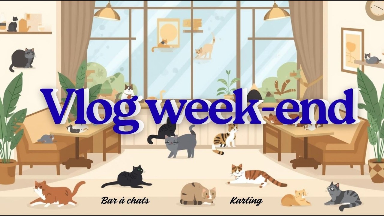 JE SUIS ALLÉE DANS UN BAR À CHATS (vlog week-end) 