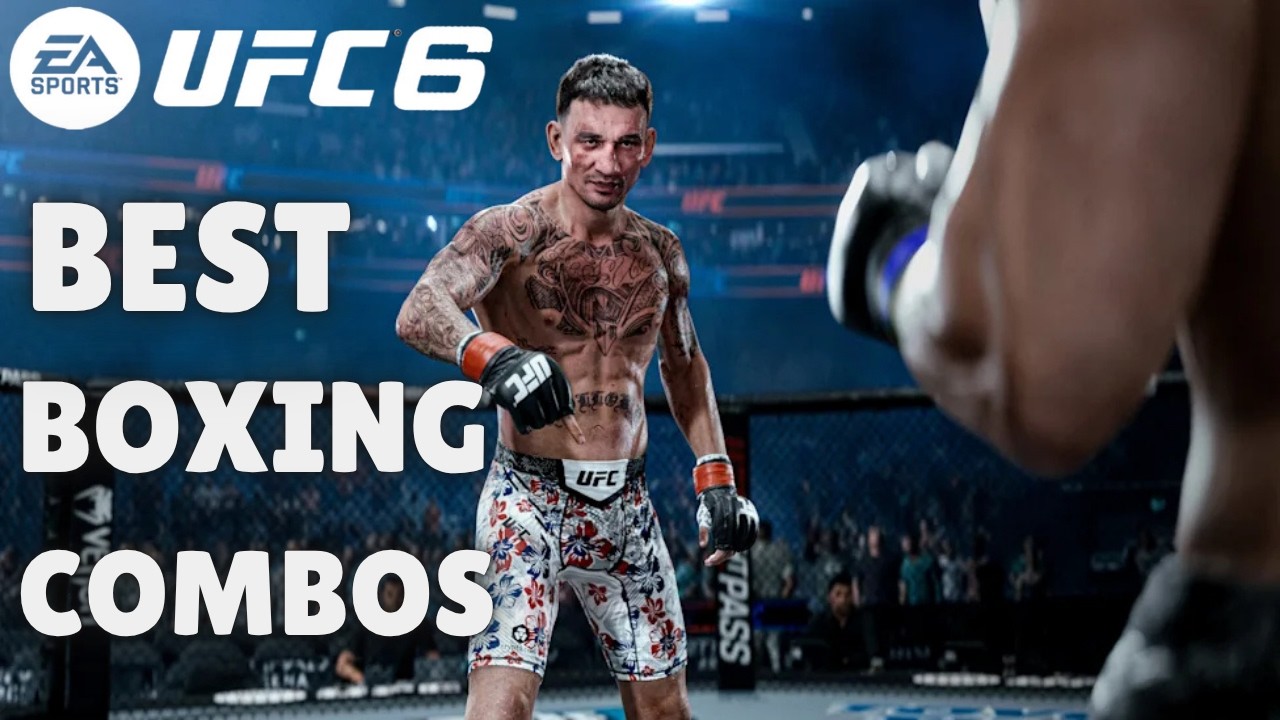 Лучшие боксерские комбинации UFC 6