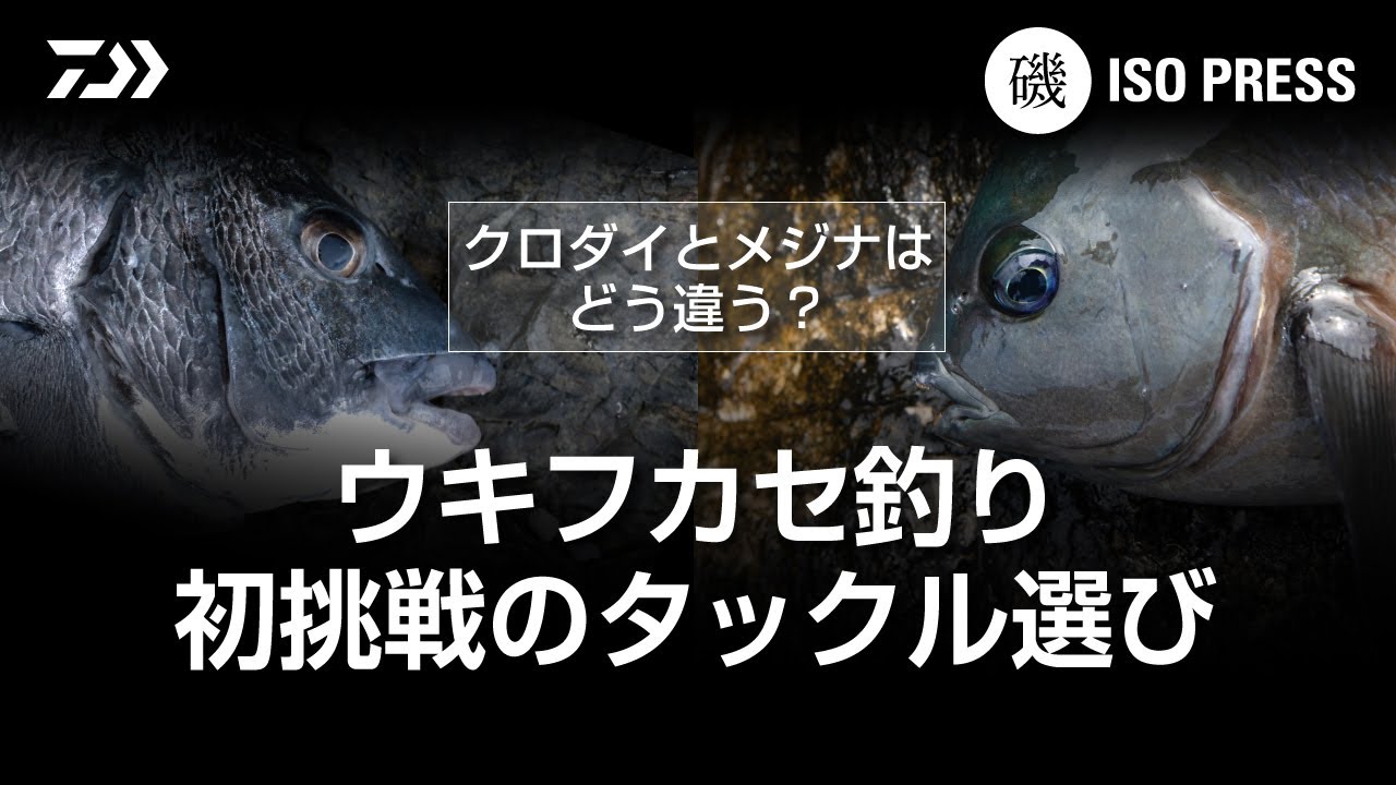 クロダイとメジナはどう違う？  ウキフカセ釣り初挑戦のタックル選び【月刊磯PRESS 2023年3月号】