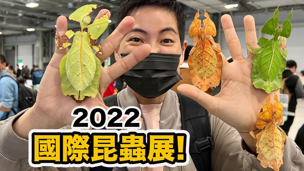 世界最大昆蟲展在台灣！還有很多爬蟲！今年又更厲害了！跟著擾西一起逛吧～