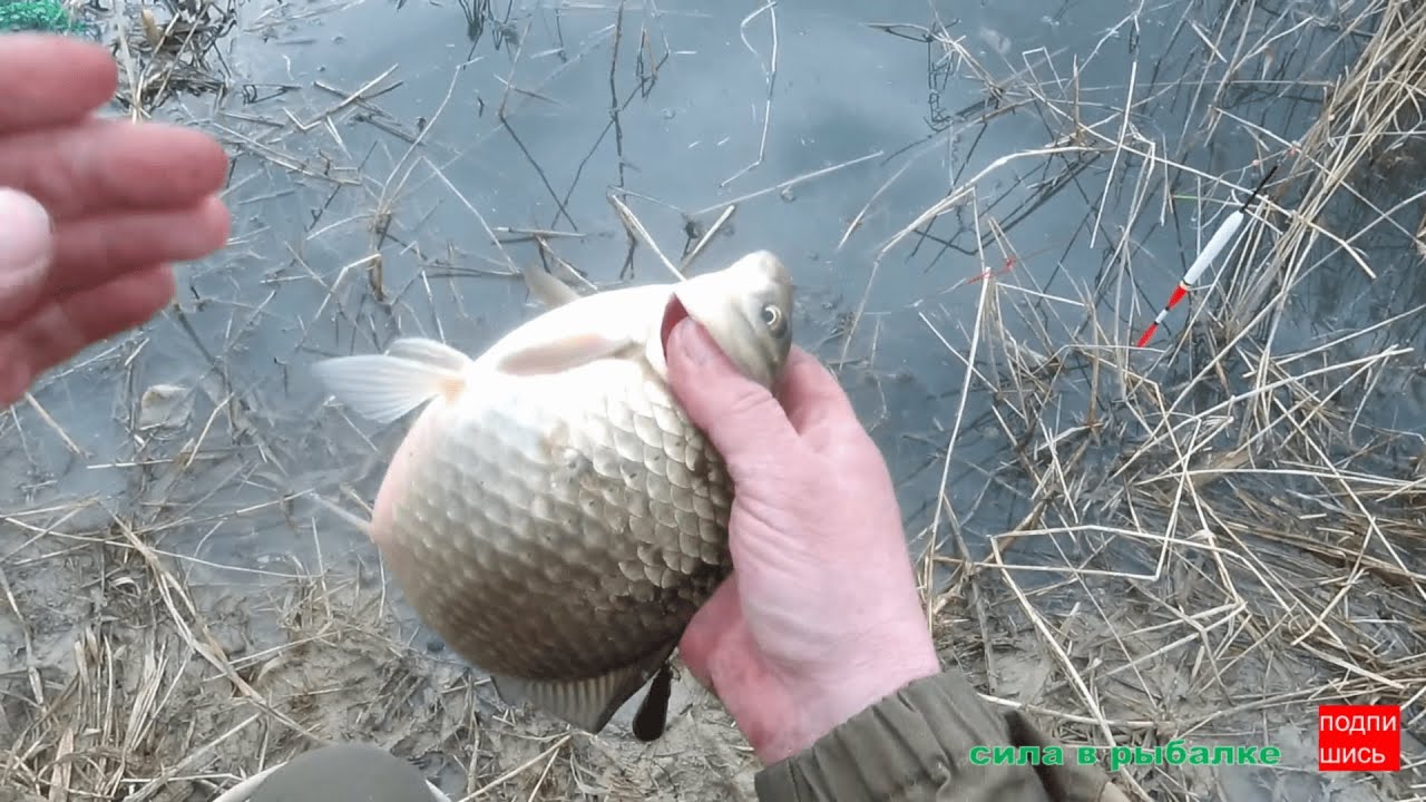 Рыбалка на поплавок, весна 2022 ! Открыл сезон по жидкой воде ! ПОПЛАВОЧКА !!!