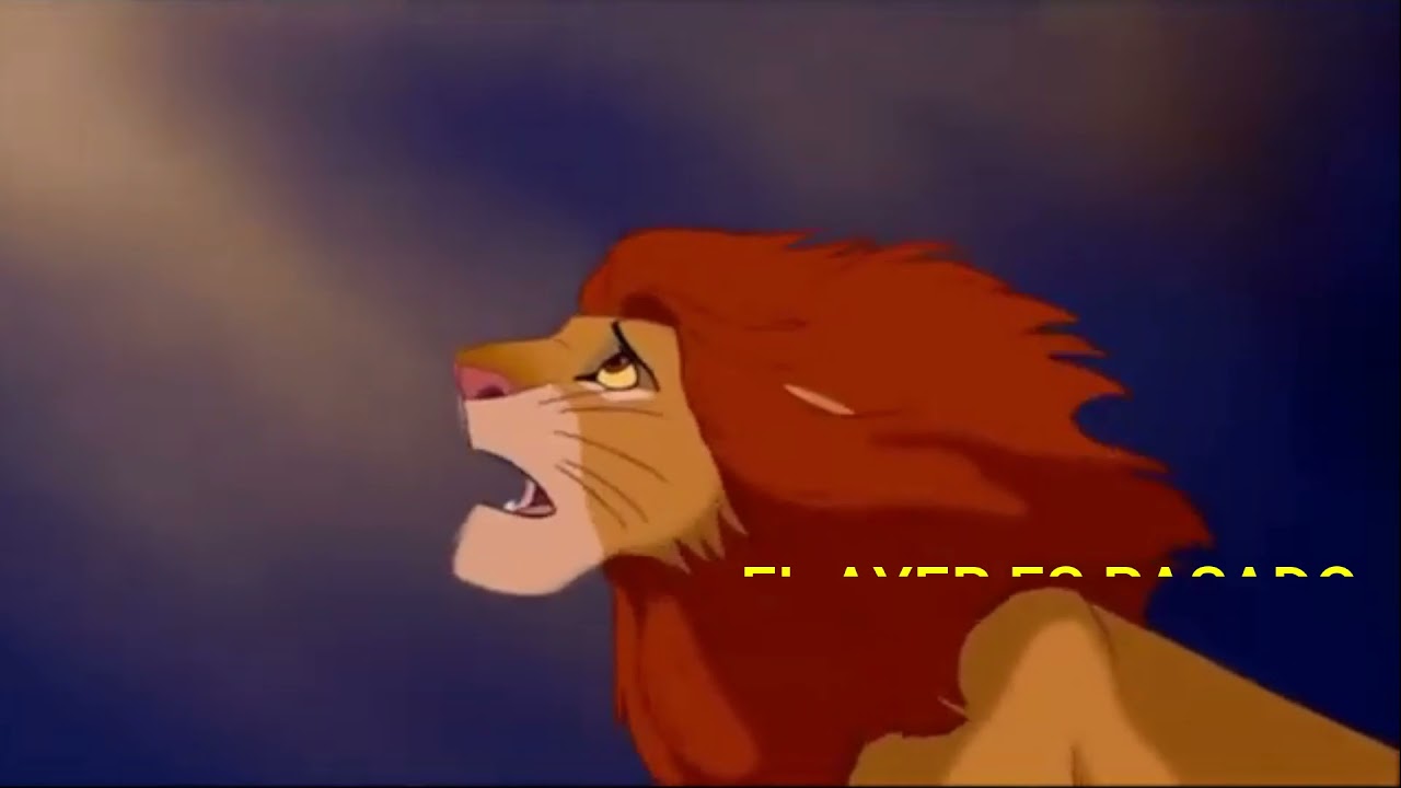 Video Motivacional 5 EL REY LEON