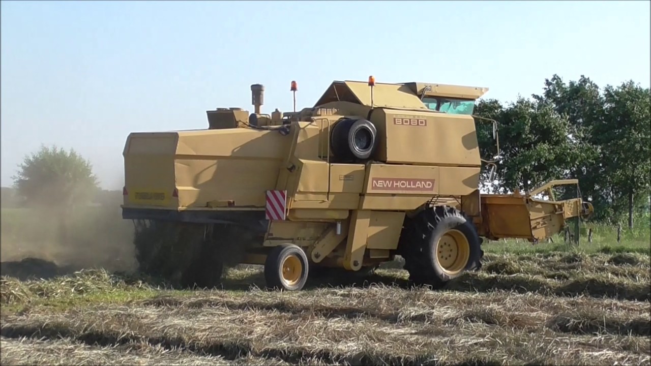 NH Clayson 8080|трава молотить|5/07/17