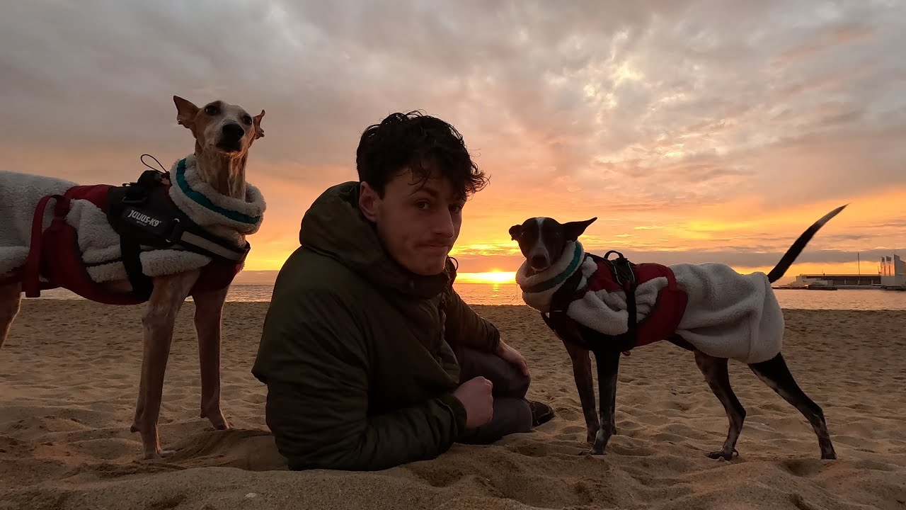 I'm Completely Overwhelmed- A Life Like Charlie