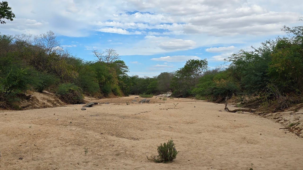 Sítio á venda em Parari-PB, medindo 180 hectares, Valor R$ 250.000,00.
