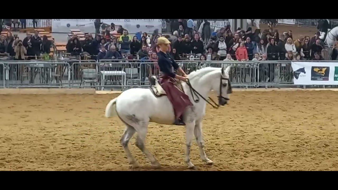 Fieracavalli Verona 2024, padiglione spagnolo